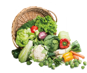 Sănătate prin nutriție